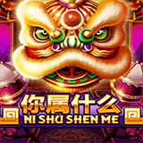 RTP joker solidplay99