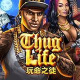 RTP joker solidplay99